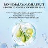 CHANDO Himalaya Botanical Hair Shampoo 600ml, Antioxidant Repair, Oil Control,