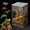 Jumping Spider Enclosure Set,5.9 * 5.9 * 9.84 inch