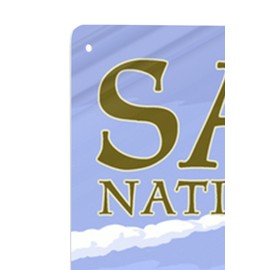 Lantern Press Saguaro National Park, Arizona, Rincon Peak (12x18 Aluminum Wall Sign, Wall Decor Ready to Hang)