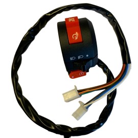 Taotao LEFT KILL Headlight START Handlebar SWITCH 125cc 110cc TAOTAO ATV 9 wires 2 plug