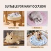2pcs Round Plush Pet Mat Thin Style Pad for Cats,