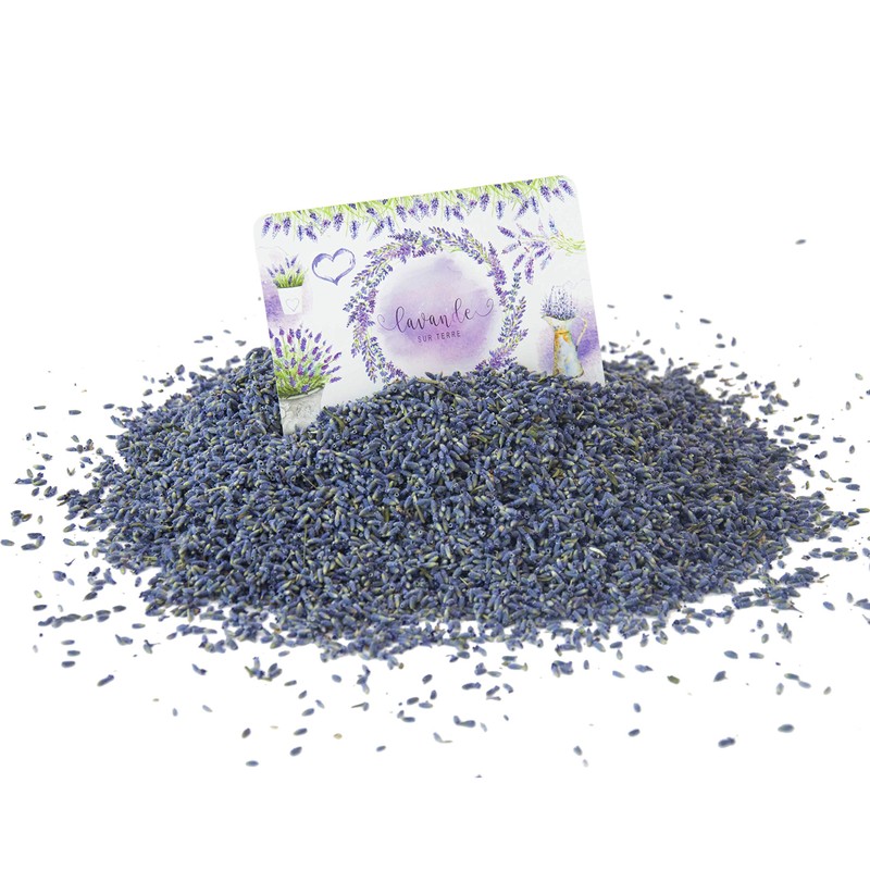 Lavande Sur Terre Dried Lavender Flower Buds for Crafts, Baking,