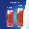 Red Bull Red Bull Energy Drink, Watermelon, 8.4 Fl Oz
