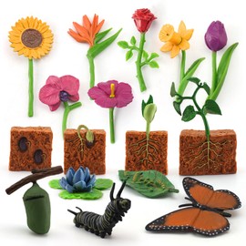 16PCS Butterfly Plant Growth Cycle Set Preschool Puzzle Gift Set Butterfly Pea Growth Cycle Flowers Desktop Decorations Party Decorations