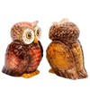 Attractive Salt and Pepper Shaker - OWLS by Pacific Trading