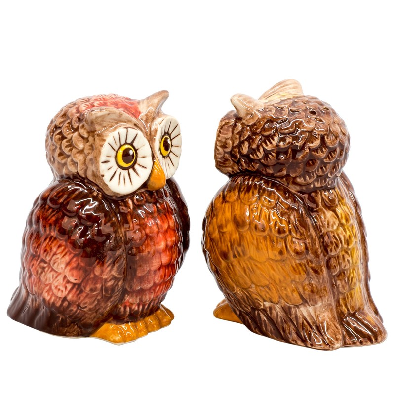 Attractive Salt and Pepper Shaker - OWLS by Pacific Trading