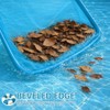 HydraJoy Pool Skimmer Net - Durable Leaf Rake for Clean