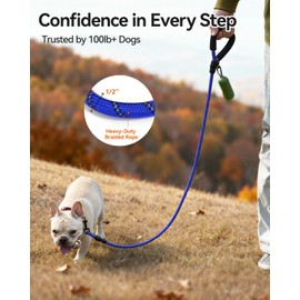 Joytale Rope Dog Leash for Small Dogs, Padded Handle, 6FT, Navy Blue