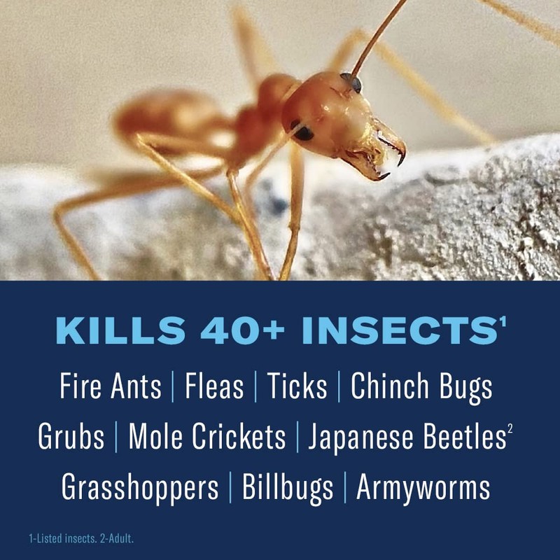 BioAdvanced 24 Hour Lawn Insect & Fire Ant Killer, Granules,