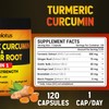 6 in 1 Turmeric Curcumin + Ginger Capsules, 95% Curcuminoids