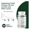 Probase Nutrition Suplemento Nr Nad 500 Mg 30 Cápsulas