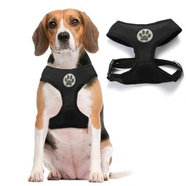 BINGPET No Pull Dog Harness for Small Medium Dogs,All Weather Mesh Step in Vest Harness for Small Dogs,Breathable Mesh Puppy Cat Harnesses,Step-in Air Dog Harness for for Small Dogs,Black,Medium