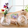 vipolish 1Pcs Empty Clear Glass Diffuser Bottle Aromatherapy Diffuser Jar