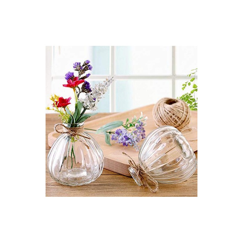 vipolish 1Pcs Empty Clear Glass Diffuser Bottle Aromatherapy Diffuser Jar