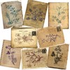 Botanical Journal Paper Pack - EZ Journal 7028