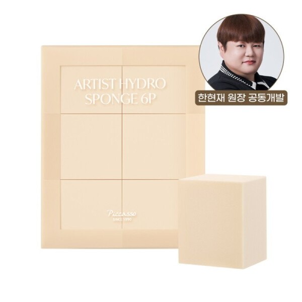 Picasso Artist Hydro Sponge 6P / 피카소 아티스트 하이드로 스펀지