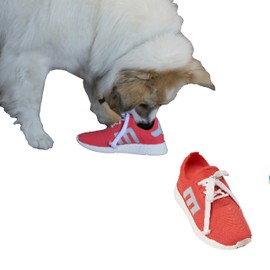 SPOT Latex Shoes Dog Toys -Soft & Stuffing-Free with Honking Squeaker and String Laces, 100% Latex, Brightly Colored, Ideal for Medium/Large Dogs & Light Chewers, 9-inch Assorted Styles