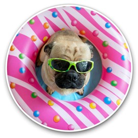 Vinyl Stickers (Set of 2) 7.5cm - Pool Party Pug Puppy Donuts #16011