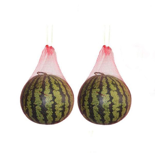 STK Watermelon Hanging Watermelon Net, Gardening Net, Fruit Bag, Pumpkin, Melon, Durable, Breathable, For Cultivation (11.8 inches (30 cm) (Normal, Rope), 40 PCS)