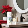 Aronica Mini Sola Flower Diffuser, 40 ml – Midnight Jasmine