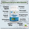 Moringa Oleifera (Drumstick) Capsule