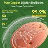 QWACVRTM Bird Bath Copper Disk, 99.99% Pure Copper Cleaning Disk,