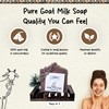 HushHush Farm – Goat Milk Soap Bar for Face &
