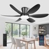 RIENAZA Ceiling Fans with Lights, 42 Inch Low Profile Ceiling