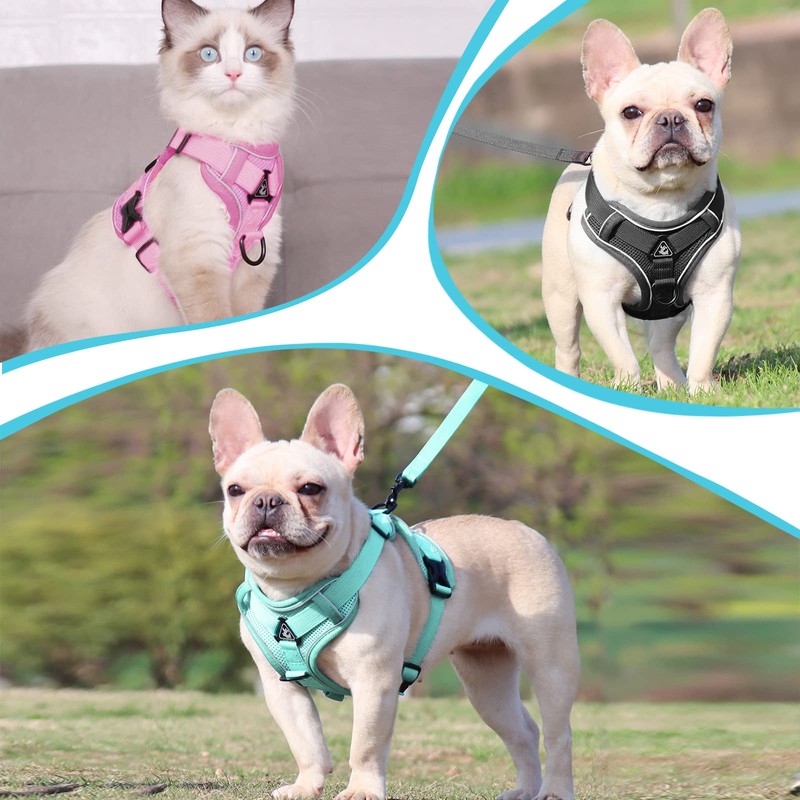 Grantop Adjustable Cat Harness, Escape-Proof Cat Harness with Lead Set,