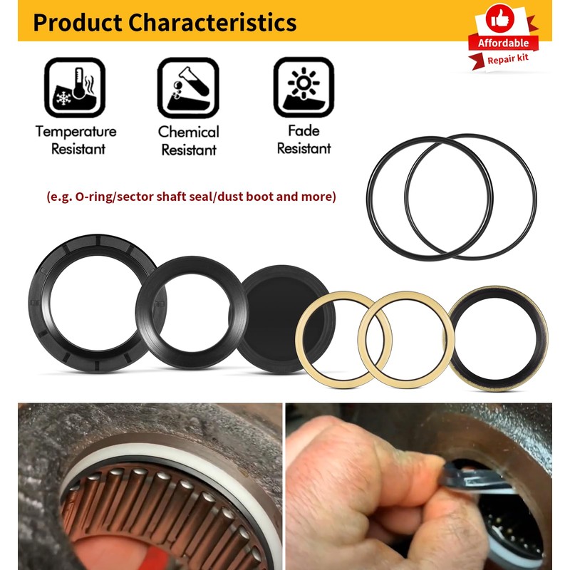 Replacement for 5545741/5544881 Shaft Sector Seal Kit, for Sheppard M100