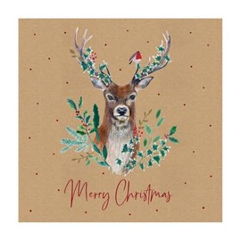 Eurowrap Assorted Christmas Cards Xmas Stag, 2 Designs Merry Christmas and Seasons Greetings - Eco Pack of 12
