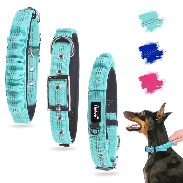 PUPTECK Heavy Duty Dog Collar with Handle Bungee for Small