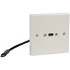 AV:Link | Fast Charge USB Type-C Wallplate with Male Tail,
