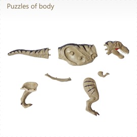 Dinosaur Skeleton & Organ Assembly Kit for Kids STEM Educational Science Toy, Dinosaur Anatomy Model (T-rex)