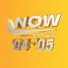 NOW - Millennium 2004 2005 [VINYL]