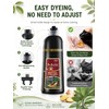 Leorx Dark Brown Hair Dye Shampoo 3 in 1, 15