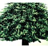 Wood Trunk Christmas Tree Panel Oxford 35.4 inch (90 cm)