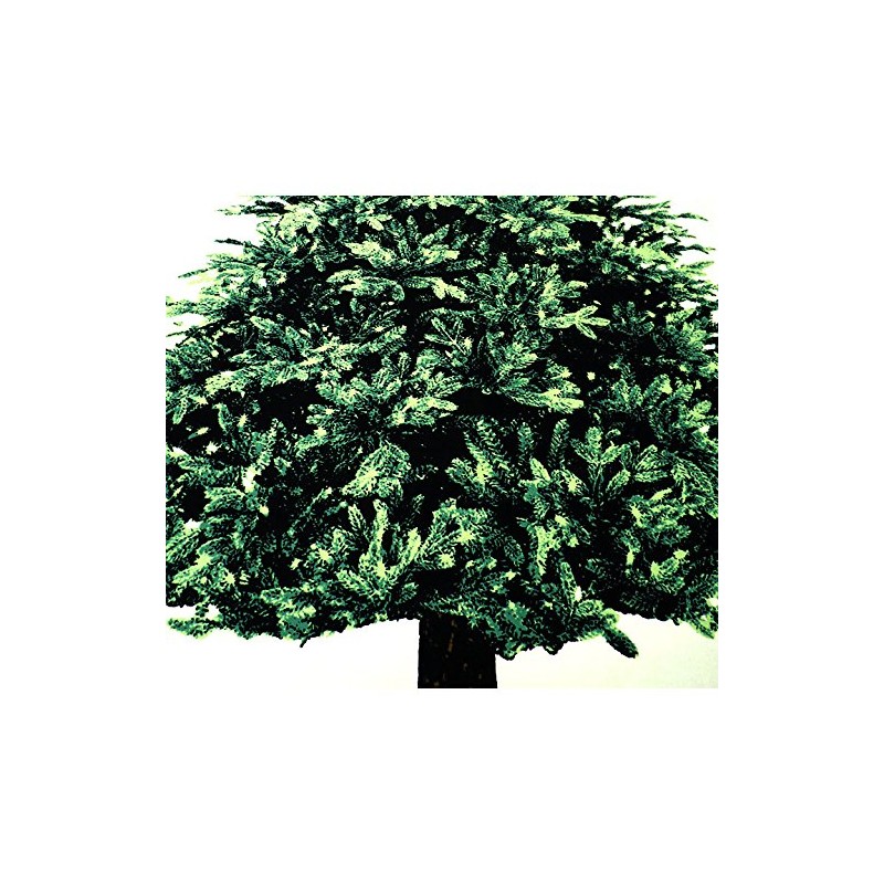 Wood Trunk Christmas Tree Panel Oxford 35.4 inch (90 cm)