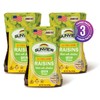 Sunview Jumbo Green Raisins 3-15 oz. Canisters
