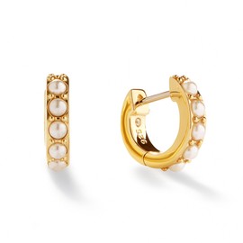 Ana Luisa Huggie Hoop Earrings for Women Trendy - 14K Gold Plated and Sterling Silver Hoop Earrings - Hypoallergenic, Water-Resistant,Tarnish-Free Jewelry - Small & Mini Earring for Women, Mini, 14K