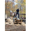 2 Red Oak Wood Lumber Boards Measuring 1/4" x 6"