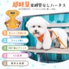 Pet Harness & Leash Set, Dog Harness, Small Dogs, Cats,
