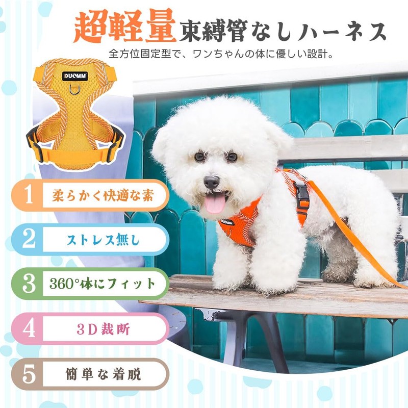 Pet Harness & Leash Set, Dog Harness, Small Dogs, Cats,