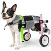 Lightweight Dog Wheelchair for Back Legs,Adjustable Mobility Cart