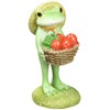 Daikai Copo 73746 Strawberry Harvest, 1.1 x 1.1 x 2.2