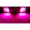 FYRE FLYS 10x Pink LED lights interior package kit for