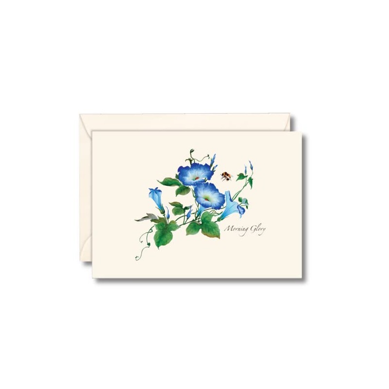 Earth Sky + Water - Morning Glories Notecard Set -