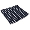 Flairs New York Gentleman's Chambray Pocket Square (Old Glory Blue/White