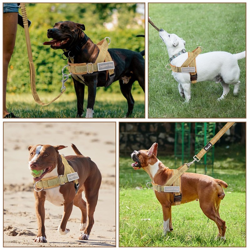 SlowTon Dog Harness Medium Large Dogs with 1.55-1.7 m Lead,