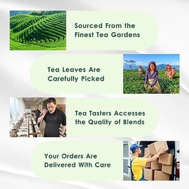 Tea Leaf & Co. Mint Green Tea Bags (100 Count), Green Tea with Peppermint & Spearmint, Caffeinated, Real and Natural Green Tea, Blended with Fresh Herbs and Spices, Gluten Free